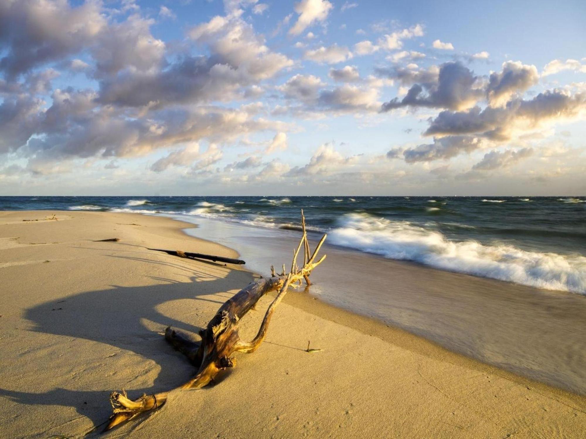 Spacious Holiday Homes Near The Beach In Pobierowo Buitenkant foto